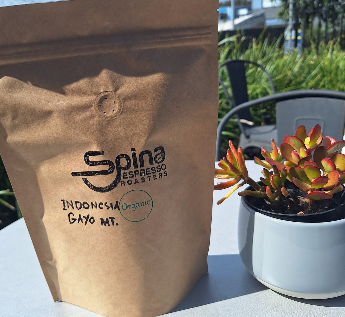 Organic Single Origin Arabica - Indonesia Mt. Gayo – Spina Espresso