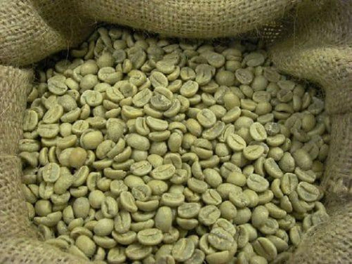 ETHIOPIA – MUHABA GR1 – HAMBELLA – GUJI  ARABICA